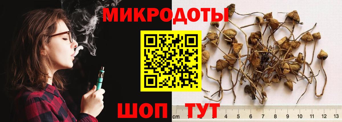 Галлюциногенные грибы прущие грибы  Вход с VPN  Павловский Посад 